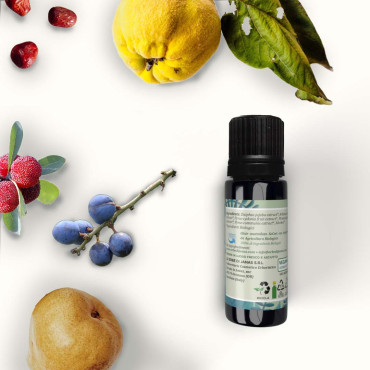 Elisir Idratante e Vitalizzante Frutti Selvatici BIO
